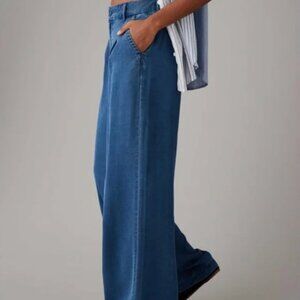 American Eagle Wide Leg Baggy Trouser